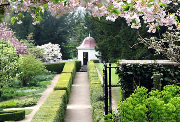 Museum Gardens