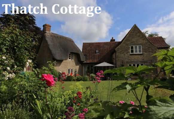 Thatch Cottages Bed & Breakfast