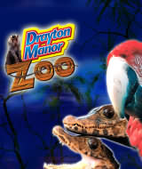 Drayton Manor's amazing zoo, which is home to over a hundred different animal species from around the world, including big cats, monkeys, and birds of prey.