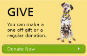 Make a donation to the Dog Trust