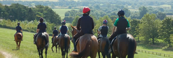 racehorse training in the Cotswolds