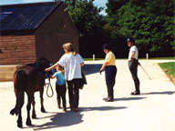 Beginner at the Cotswolds Riding centre Stanton, Nr Broadway, Worcestershire