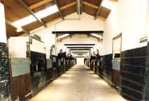 Stables at the Cotswolds Riding centre Stanton, Nr Broadway, Worcestershire