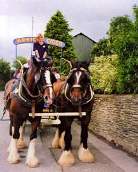 Westons Cider Brewers Dray