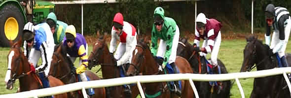 Worcester Horse Racing at Pitchcroft