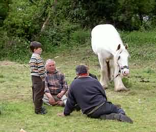 Gypsies negotiating over the sale of a horse