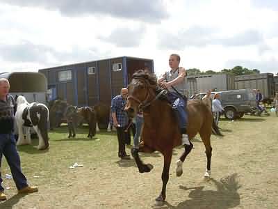 Young Gypsy Lad bare back riding at full trot