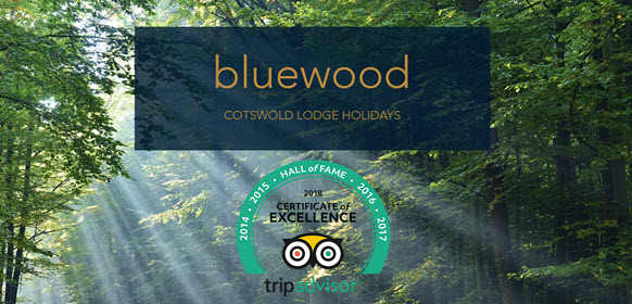 Blue Wood Lodges 
