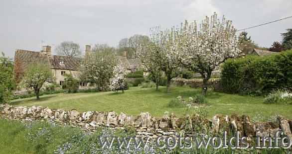 Cotswold Cottages in Great Rissington
