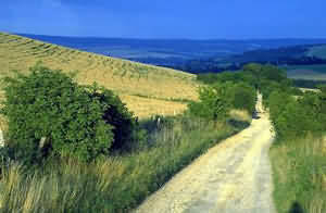 If you are a walker, then try the ancient Ridgeway National Trail which is just 3.5 kilometres out of town.
