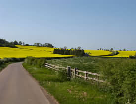 Cotswold Scenery