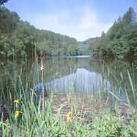 Woodchester Park, Stonehouse, Nympsfield, nr Stroud, Gloucestershire