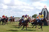 Horse Racing in the Cotswolds Region