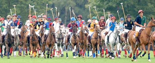Polo in the Cotswolds