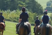 Racehorse Training