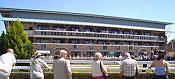 Warwick racecourse stands