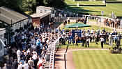 Worcester racecourse stands