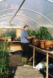 Farmcote Herbs and Chillis