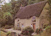 Typical Thatched Cottage